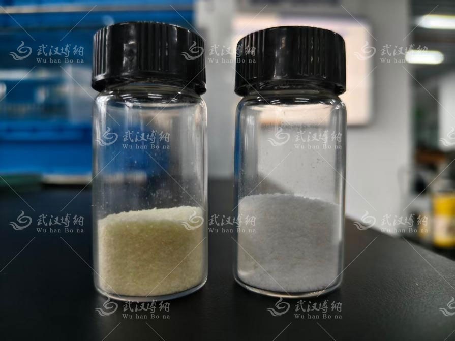 牛初乳IgG膜过滤纯化原料与产品对比：左为原料粉，右为高IgG蛋白粉